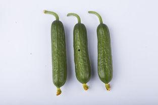 吃瓜背景视频下载安装免费,免费背景视频下载安装全攻略